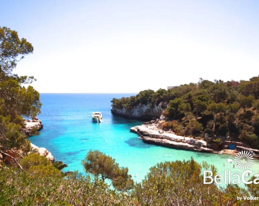 Finca de palmeras de piedra natural a las puertas de Santanyi