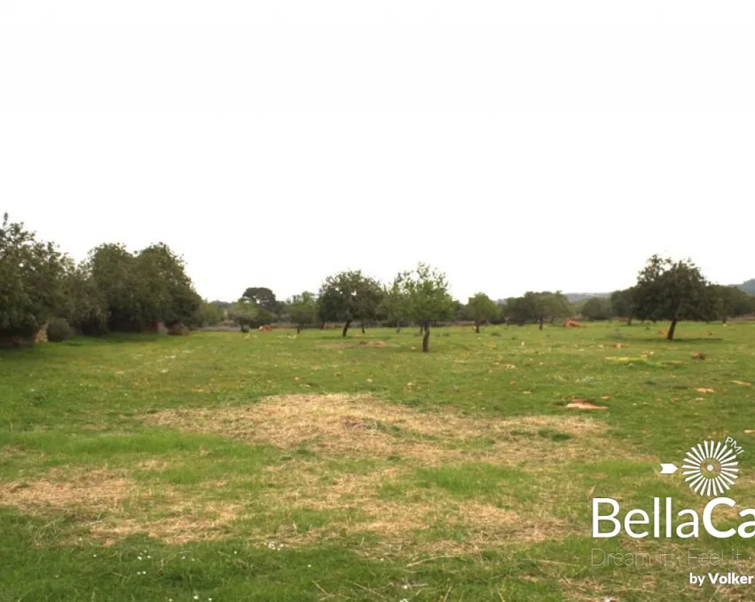 Участок под застройку площадью 25.000 м2 между Сантаньи и Cas Concos