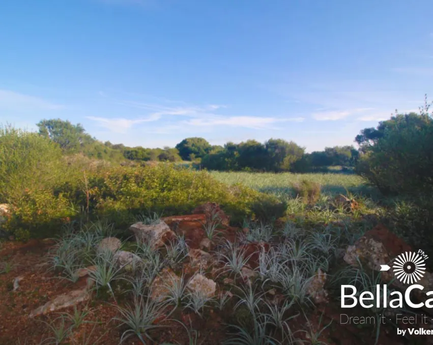 Voll erschlossenes Baugrundstück mit Basisprojekt / Santanyi