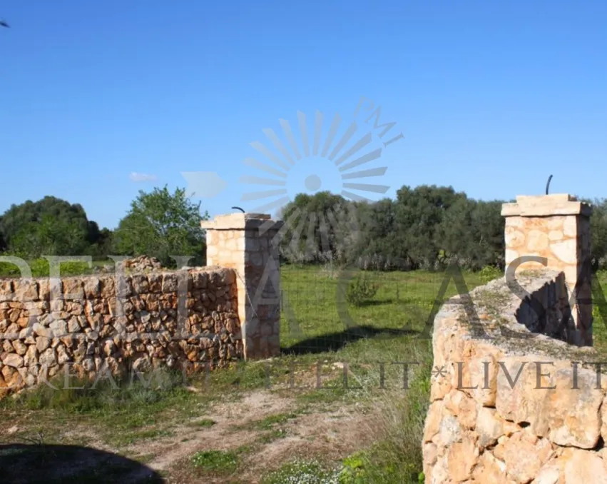 Premium Finca Grundstück mit Blick auf Ses Salines