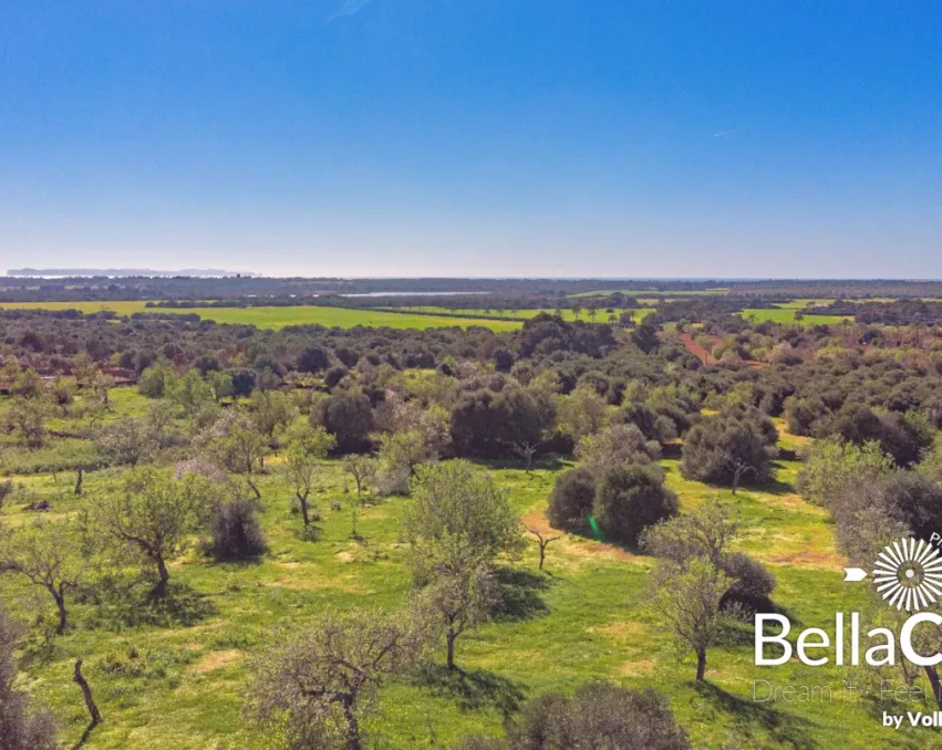 Meerblick Finca Grundstück mit Projekt am Ortsrand von Ses Salines